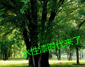 大荷水性漆放异彩 迎来发展的镀金时代！