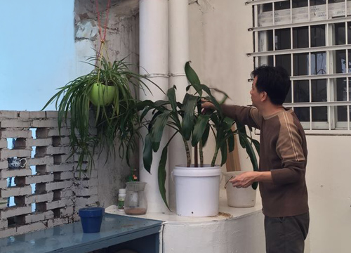 植树节，拥抱春天，播种绿色！
