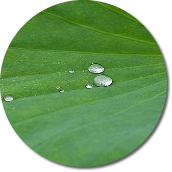 水性墙面漆不沾污的奥秘