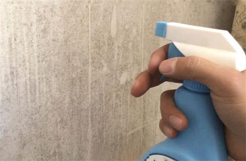墙面漆发霉