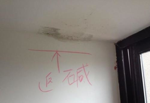 乳胶漆的底漆到底有多重要